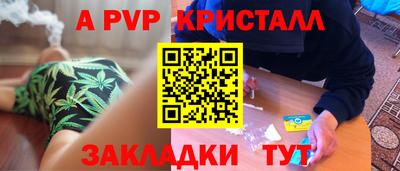 стаф Сланцы