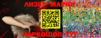 стаф Сланцы