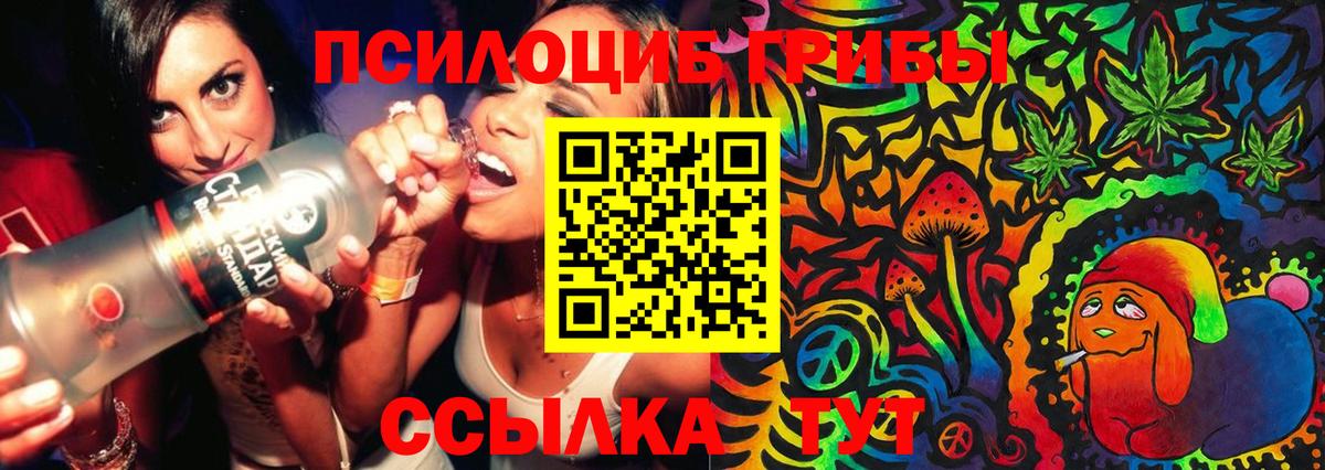Галлюциногенные грибы GOLDEN TEACHER Шали