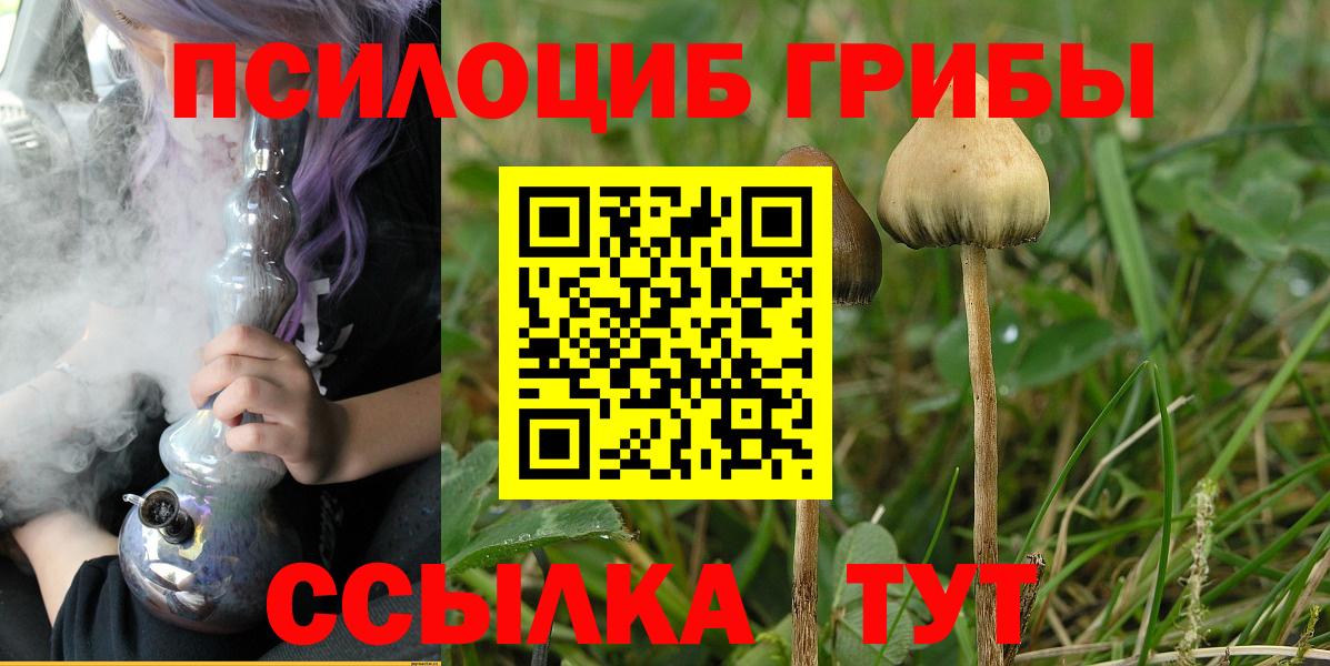 Галлюциногенные грибы Magic Shrooms  Галлюциногенные грибы мицелий  Вход с VPN  Шали 